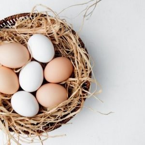 Eggs